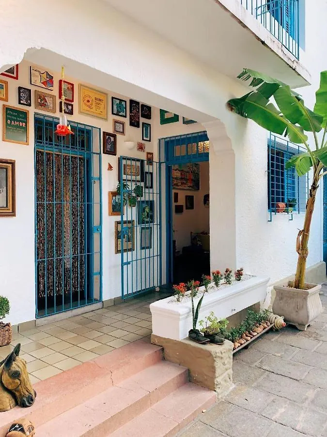 Zili Pernambuco - Hostel Pousada Recife Brazil