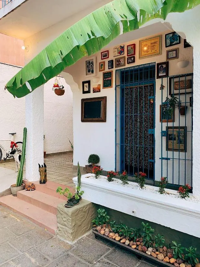 Zili Pernambuco - Hostel Pousada Recife
